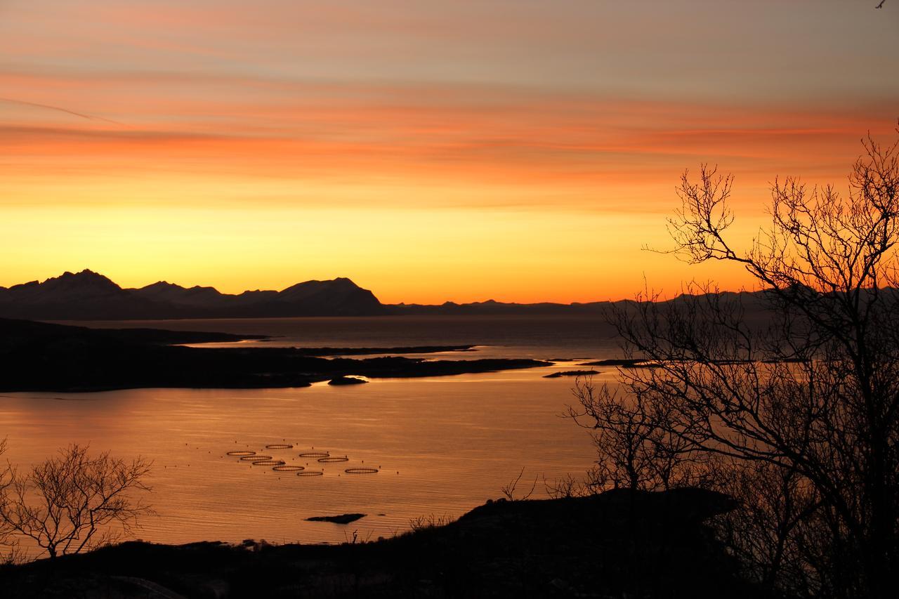 Senja Fjordhotell And Apartments Stonglandseidet Buitenkant foto
