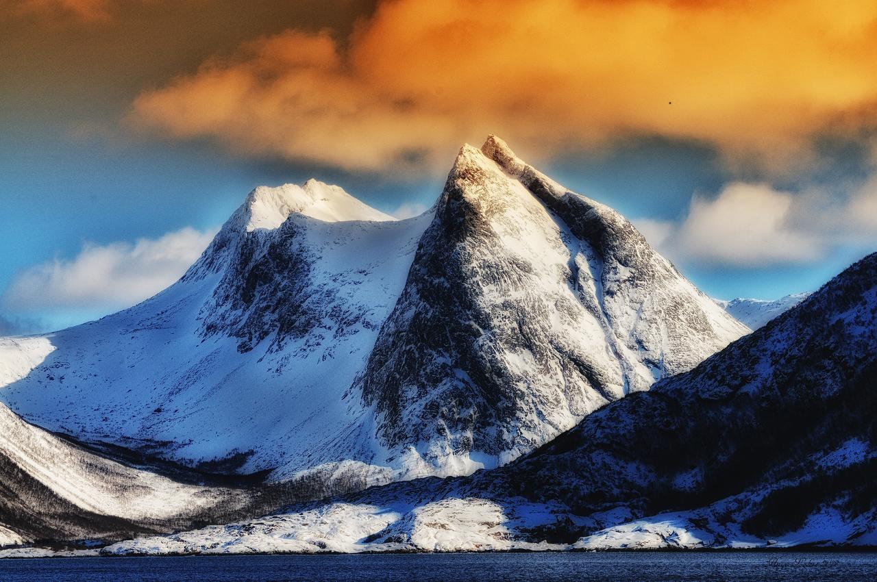 Senja Fjordhotell And Apartments Stonglandseidet Buitenkant foto