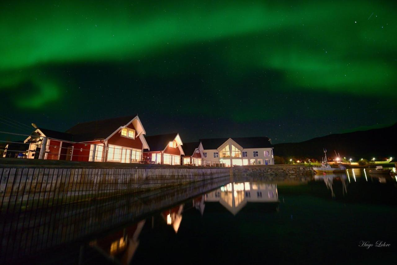 Senja Fjordhotell And Apartments Stonglandseidet Buitenkant foto